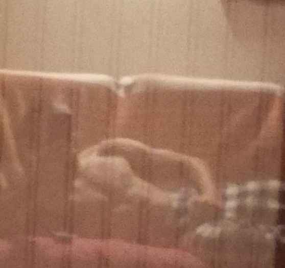 Profil de Jody, 23 ans, Lieu gay à Donat